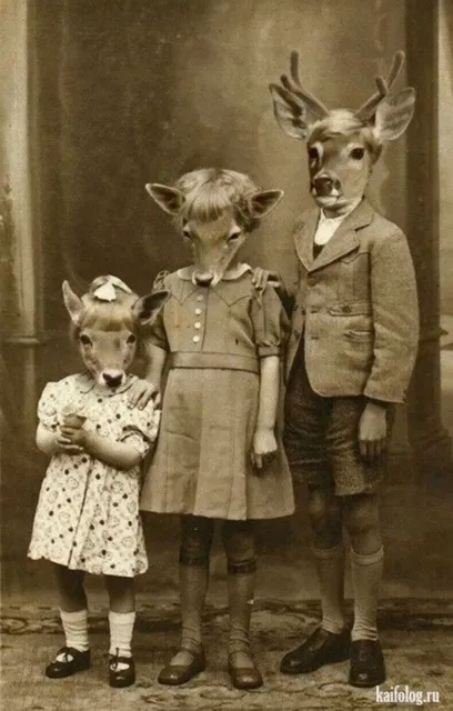 Antique Deer Family Photo 2487b Oddleys Strange & Bizarre