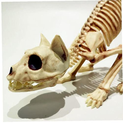 Decoración de Halloween, con diseño de esqueleto de gato, modelo de esqueleto