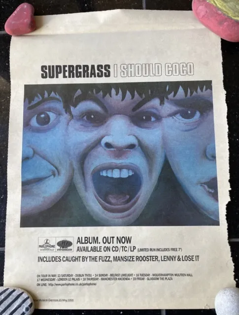 SUPERGRASS Poster I SHOULD COCO  VINTAGE POSTER SIZE ADVERT Nme May 1995