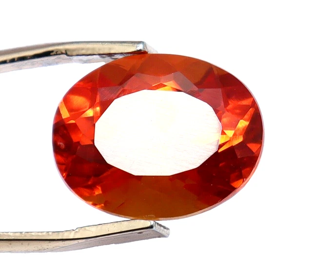 Saphir Naturel Bicolore 81,00 Carats – Taille Ovale – Certifié EGL – Madagascar