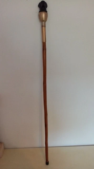 Canne De Marche Et Collection En Bambou, Pommeau Bois, 88 Cm - Bon état Vintage