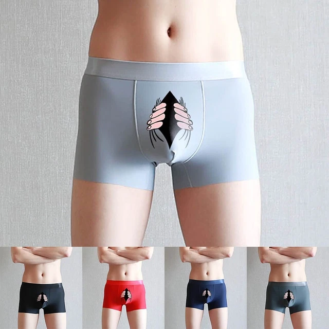 Slip da Uomo Boxer Lunghi in Cotone Intimo Maschile Traspirante Taglia Europea