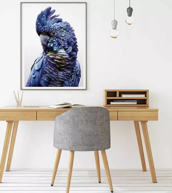 Home Hanging Picture Decor Print Paper Canvas Wall Art Black-Cockatoo A Poster