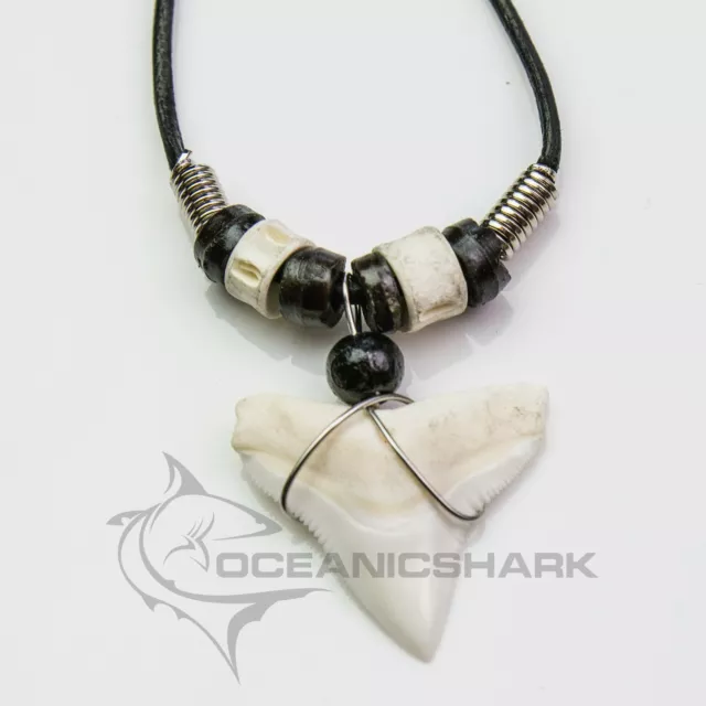 Bull shark Carcharinus leucas tooth necklace c180