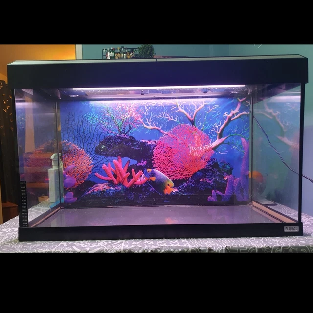 USED Fluval aquarium fish tank 2