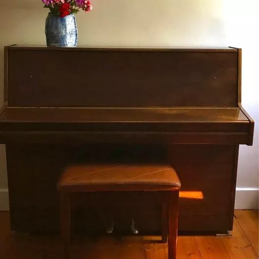 Piano （Alex steinbach）