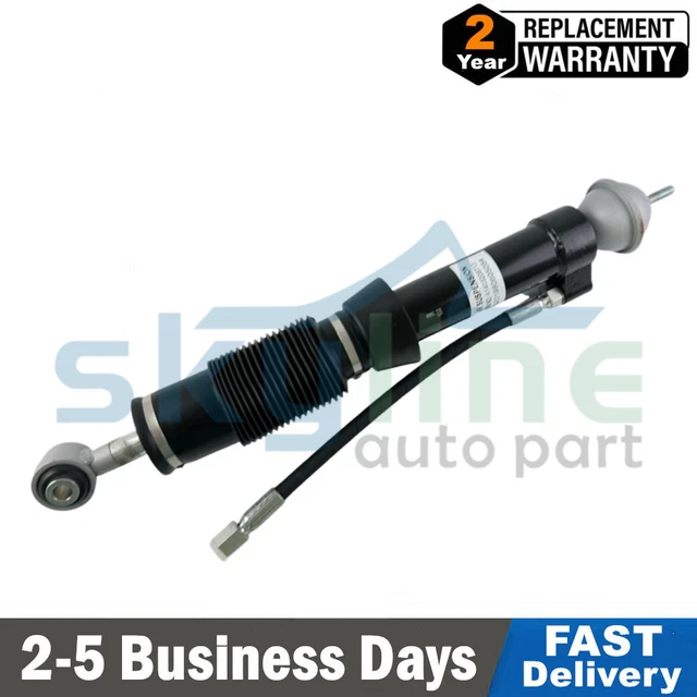 96-99 Mercedes W140 C140 Coupe Rear Suspension Accumulator w Damping Valve OEM