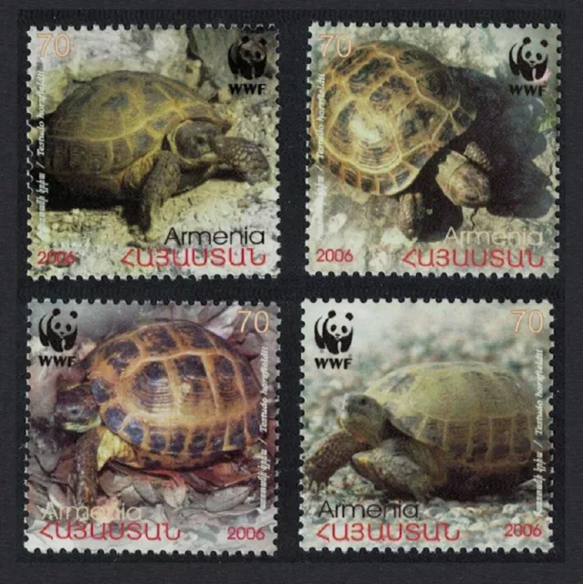 Armenia WWF Four-toed Tortoise 4v 2007 MNH SG#605-608 MI#561-564 Sc#753-756