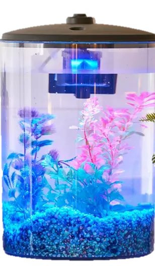 3-Gallon Plastic Aquarium with LED Light and Power Filter Starter Kit