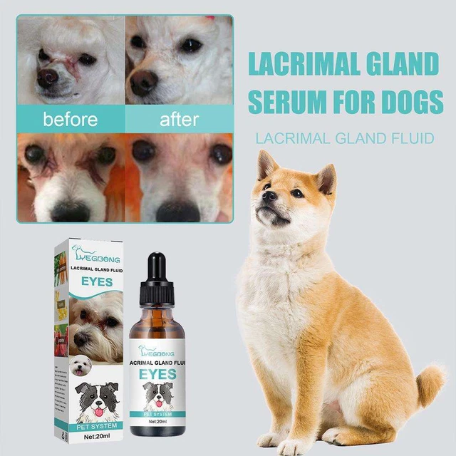 Pet Eye Drops For Conjunctivitis Dog Cat Horse Rabbit Animals All UK New C6H3