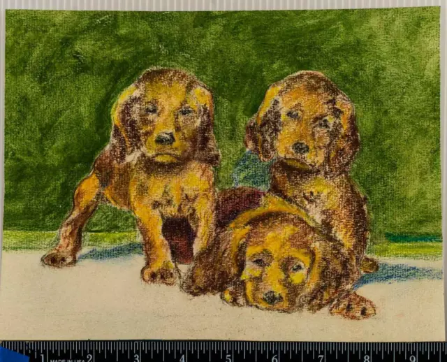 Vintage Pastel Dibujo sobre Papel Medio Siglo Tres Cachorro Perros Tob