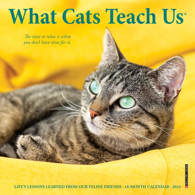 WILLOW CREEK WHAT Cats Teach Us 2023 7" x 7" Mini Wall Calendar w 4.49