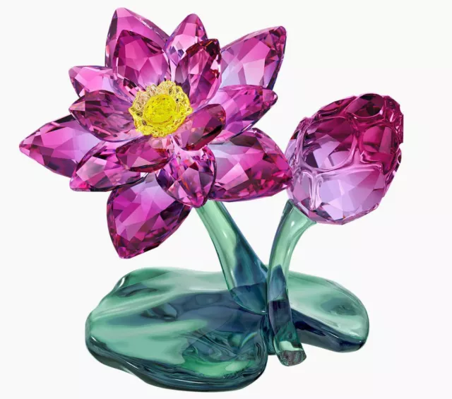 Swarovski Lotus Waterlily Flower Crystal Figurine #5275716 New in Box $449