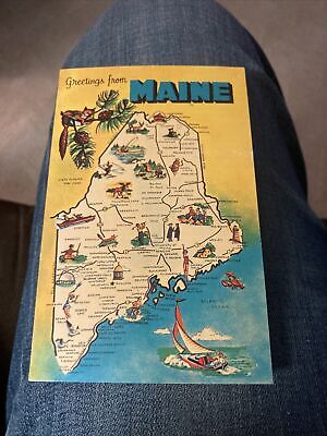 Greetings From Maine~State Flower~Pine Tree State~Map~Standard Chrome Postcard