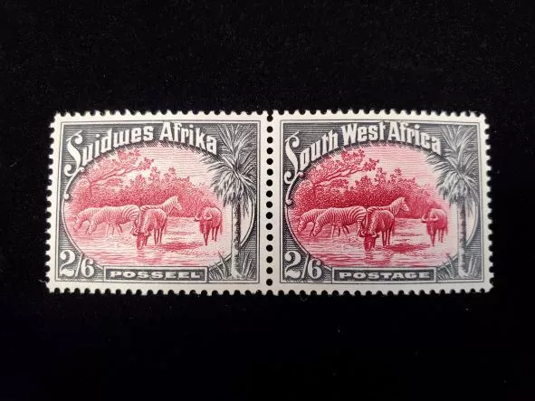 South West Africa Scott #117 Pair Mint Never Hinged