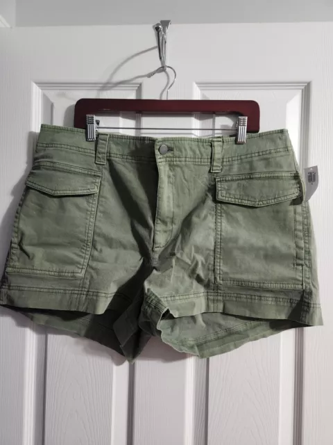 Old Navy cargo shorts XL green alpine tundra