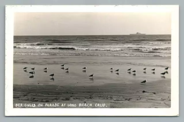 Long Beach "Sea Gulls Parade" RPPC Vintage Los Angeles Photo Postcard 1940s