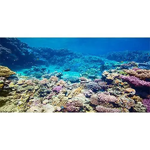 Aquarium Background Coral Reef Tropical Fish Undersea Fish Tank Background Durab