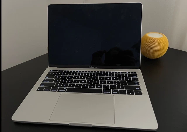 Apple MacBook Pro 13 inch anno 2016 intel core i5 8gb di ram 3