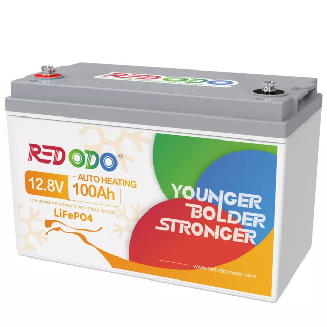 Redodo 24V 100Ah LiFePO4 Batterie, mit Max. 2560W Leistung, perfekter  Ersatz für AGM Batterie, 4000-15000 Tiefzyklus, 10 Jahre Lebensdauer,  perfekt für Wohnmobil, Solar, Off-Grid, Marine