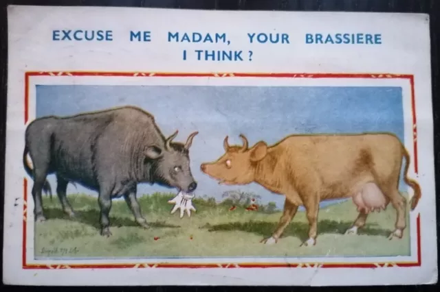 R Constance cows and brassiere comic seaside humour postcard Donald McGill