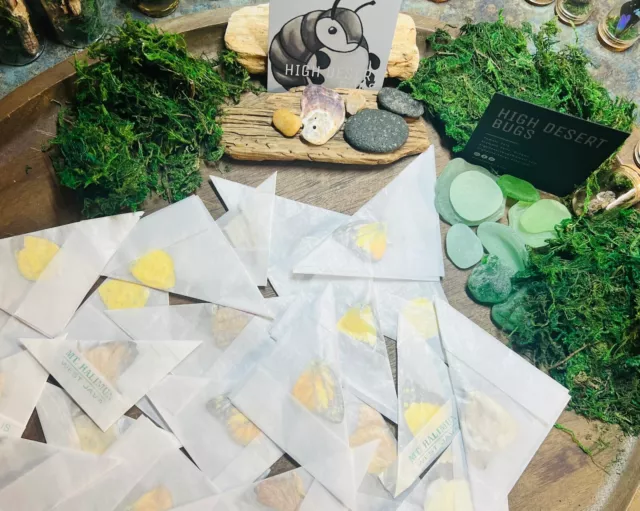 Mixed Lot of 10 Real Butterflies Papered Specimens Craft, Insect Collection