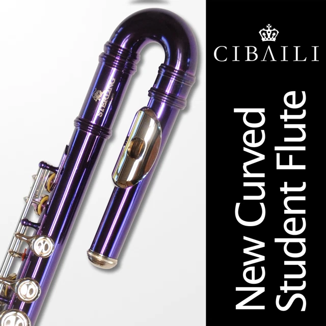 Curved Head Purple Student C FLUTE • Straight and Curved Headjoints • Brand New