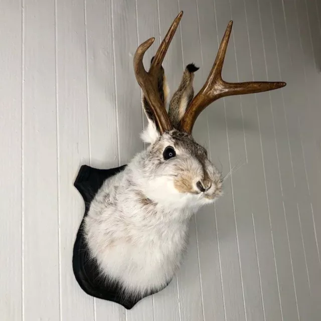 3D Wall Mounted Jackalope Antler Rabbit Head Statue Sculpture Animal Home Decor 2