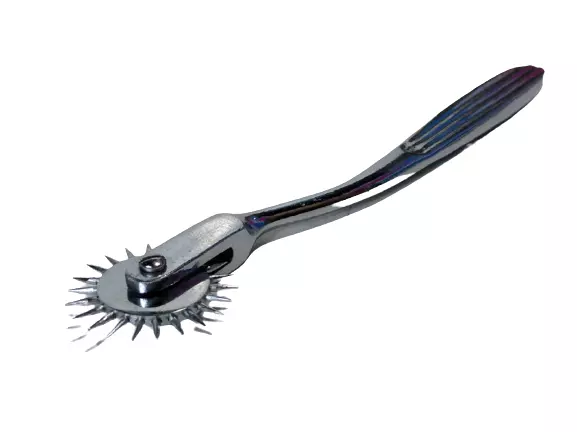 Wartenberg Pinwheel/pin Wheel