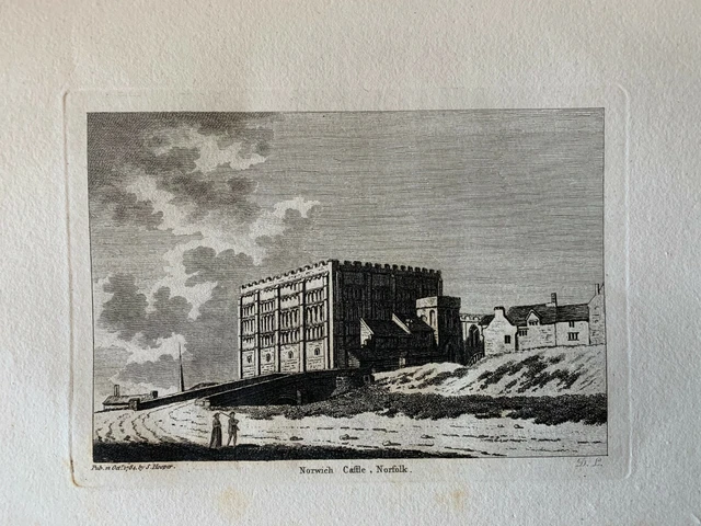 Norwich Castle Norfolk By Harper - original  antique print