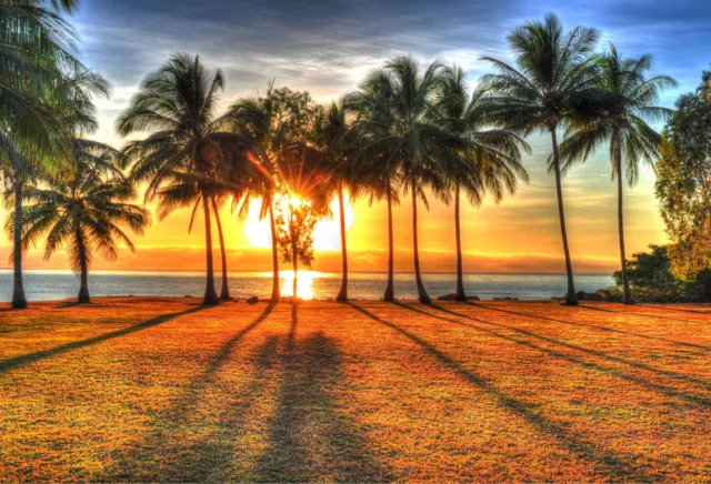 Tropical - Australia Cairns Palm Cove - Canvas Beach Photo Print Sunrise Sunset