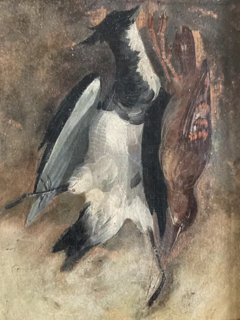Muy Bonita pintura Óleo pie naturaleza muertos cadaver Cartón S. XIX Pájaro