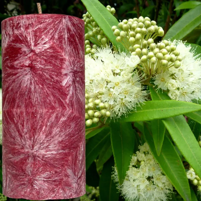 Australian Lemon Myrtle Scented Pillar Candle Choose Colour/Size Hand Crafted