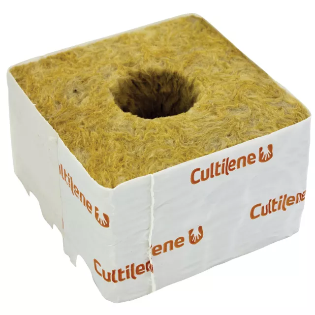 Rockwool 4" Inch x12 Big Hole - Cultilene Rockwool Cubes 12 Pieces Large Hole