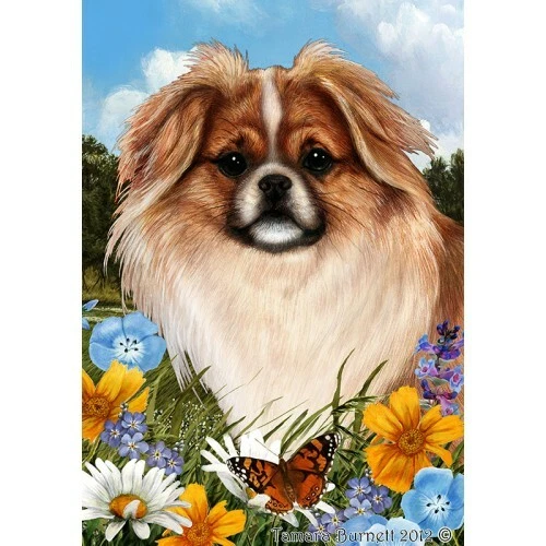 Summer House Flag - Red and White Sable Tibetan Spaniel 18476