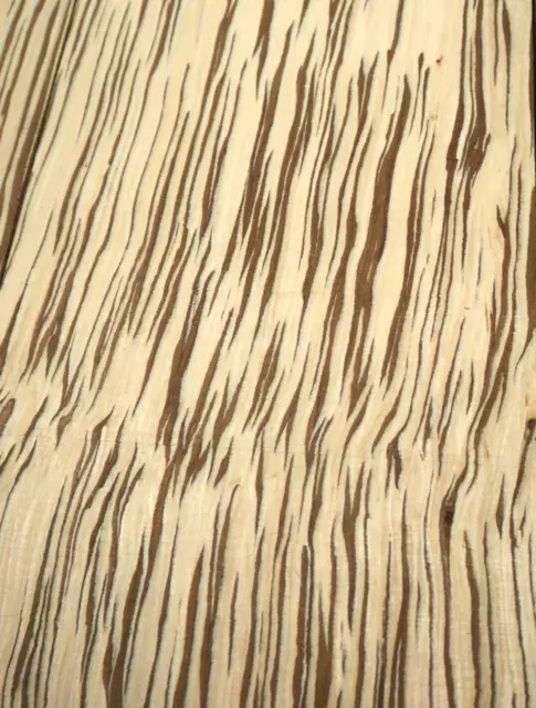 Zebrano Madera Saraifo Zebrawood 62x21, 5cm x 26mm