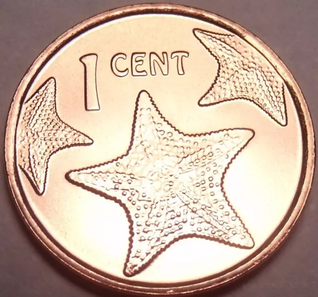 Gem Unc Bahamas 2014 1 Cent~Starfish Coin~We Have Gem Coins For Collectors~Fr/Sh