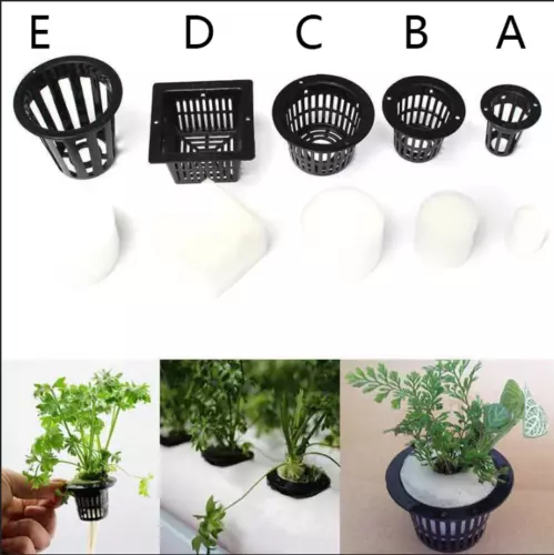 10-20Set Mesh Pot Net Basket+Clone Collar Foam Insert Hydroponic Aeroponic Plant