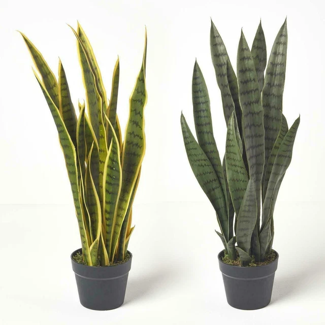 ARTIFICIAL SNAKE PLANT MotherinLaw’s Tongue Fake Plant in Black Pot