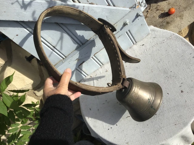 Cloche Vache Cloche De Vache En Acier Avec Poignée, LEKATO 20,5 Cm Cloche De Vache Pour événements Sportifs, Cloche De Main Pour Les Jeux De Football Fête Concert Remise Des Diplômes école