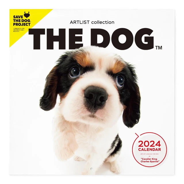 THE DOG CALENDAR 2024 Wall mounted large format size [Cavalia King