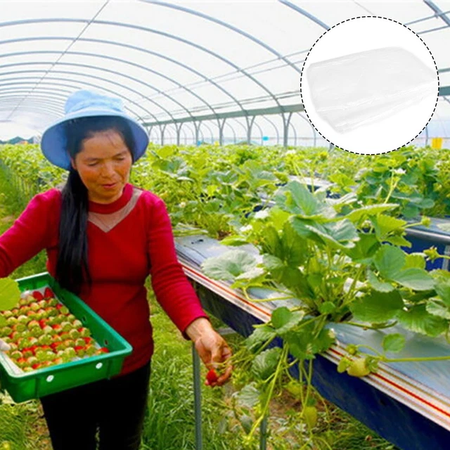 Vegetables Greenhouse Film Flowers Hot House Plant Plastic Transparent