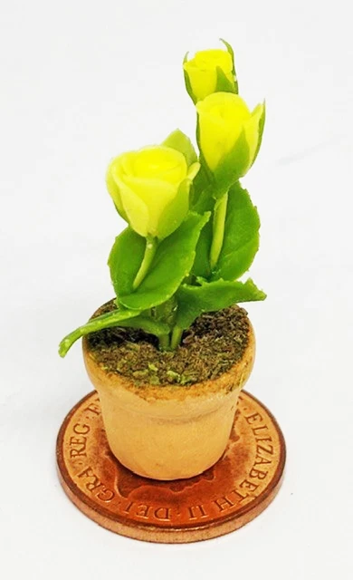 1:12 ÉCHELLE MINIATURE Bonsaï Pour Maison De Poupées Fleur De