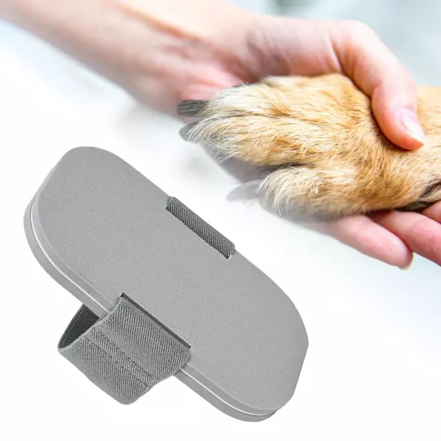 Lime à ongles pour chien, planche de lime à ongles pour intérieur, grands