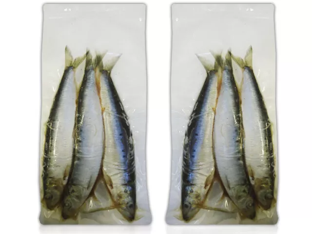 PIKE FISHING FROZEN Bait Mackerel Smelt Lamprey Roach Sprats Pike-Pack  Zander £3.10 - PicClick UK