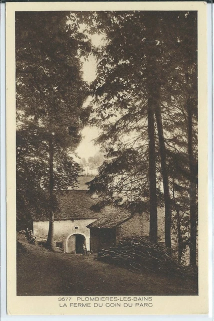 CPA 88 - Plombières-les-bains - La Farm of / The Corner Park