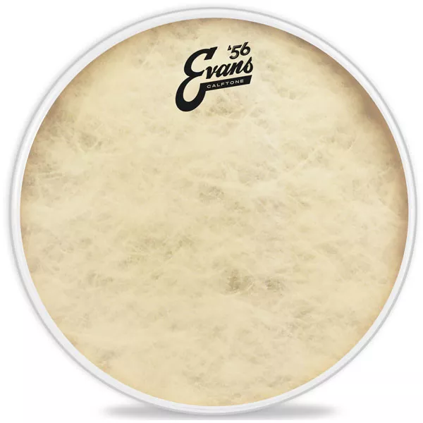 Evans 12" Calftone Tom Drum Head Skin TT12C7 3