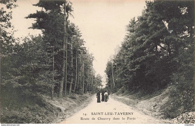 95 - SAINT LEU TAVERNY - S07988 - Route de Chauvry dans la For�t - L14
