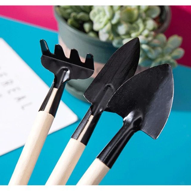 Set Di 5 Attrezzi Per Piante Grasse E Giardinaggio - Include Perforatore, Estrattore, Pale E Spazzola - Nero, Ideale Per Rinvaso