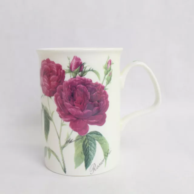 Roy Kirkham Mug Fine Bone China Redoute Rose 1996 Made in England Teacup Tea Cup